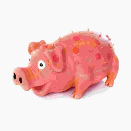 Rubber Pig